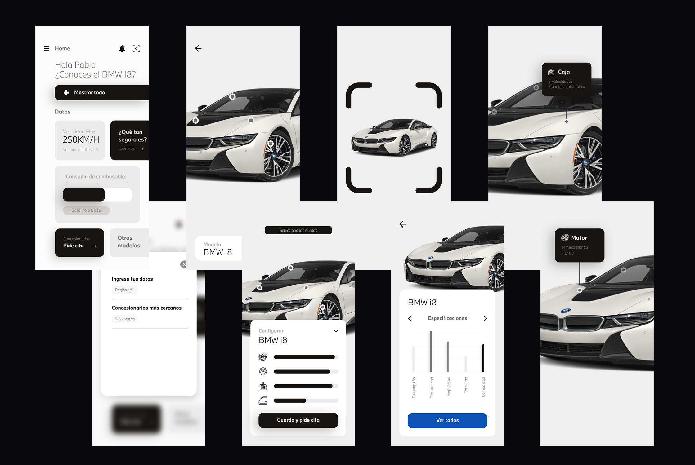 BMW App Interface